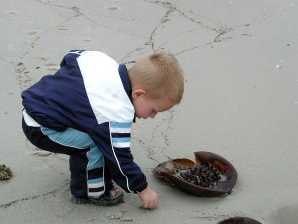 child_playing_with_horseshoe