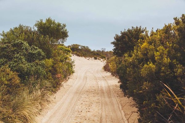 dirt_road_road_journey