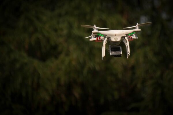 1-drone_surveillance_flight_nature_0