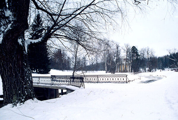 pavlovsk_railing_of_bridge_yellow_palace_winter