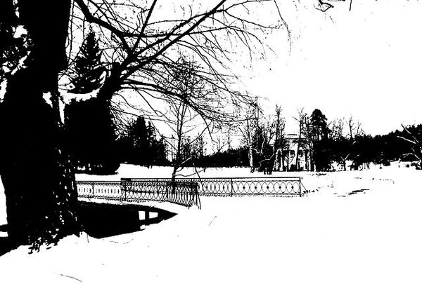 pavlovsk_railing_of_bridge_yellow_palace_winter_bw_threshold