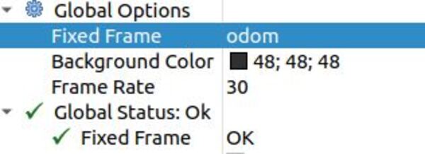 22-fixed-frame-to-odom